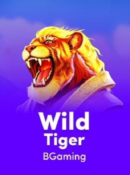 Poker Việt Nam: Giới thiệu các giải đấu sôi nổi nhất